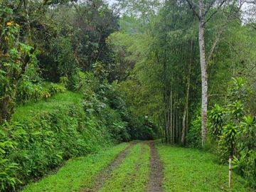 Hermosa finca de 10 Has en Nanegalito con casa de 200 m2 y río cristalino.