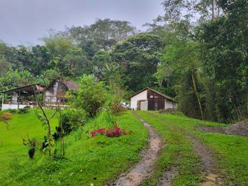 Hermosa finca de 10 Has en Nanegalito con casa de 200 m2 y río cristalino.