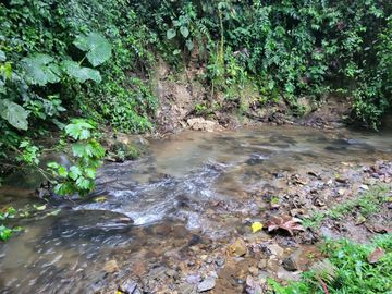 Hermosa finca de 10 Has en Nanegalito con casa de 200 m2 y río cristalino.