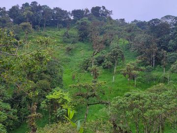 Hermosa finca de 10 Has en Nanegalito con casa de 200 m2 y río cristalino.