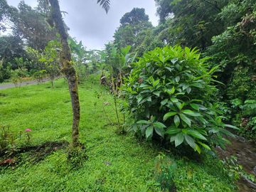 Hermosa finca de 10 Has en Nanegalito con casa de 200 m2 y río cristalino.
