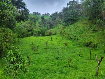 Hermosa finca de 10 Has en Nanegalito con casa de 200 m2 y río cristalino.