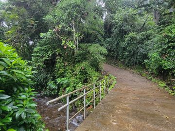 Hermosa finca de 10 Has en Nanegalito con casa de 200 m2 y río cristalino.