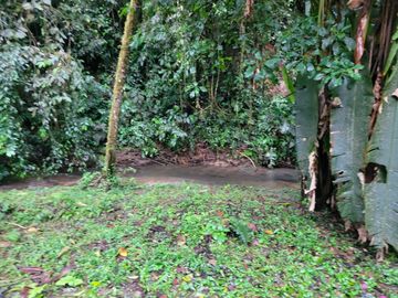 Hermosa finca de 10 Has en Nanegalito con casa de 200 m2 y río cristalino.