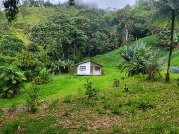 Hermosa finca de 10 Has en Nanegalito con casa de 200 m2 y río cristalino.
