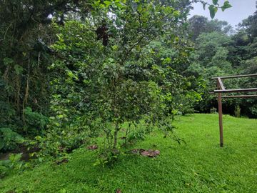 Hermosa finca de 10 Has en Nanegalito con casa de 200 m2 y río cristalino.