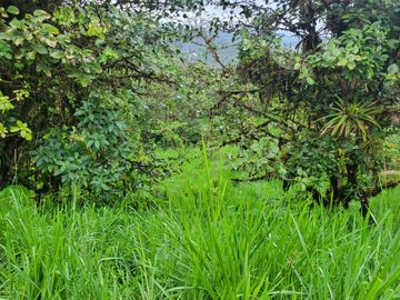 Hermosa finca de 10 Has en Nanegalito con casa de 200 m2 y río cristalino.