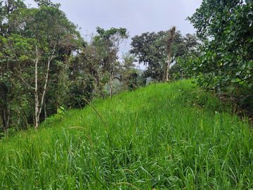 Hermosa finca de 10 Has en Nanegalito con casa de 200 m2 y río cristalino.