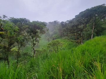 Hermosa finca de 10 Has en Nanegalito con casa de 200 m2 y río cristalino.