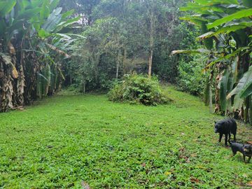 Hermosa finca de 10 Has en Nanegalito con casa de 200 m2 y río cristalino.