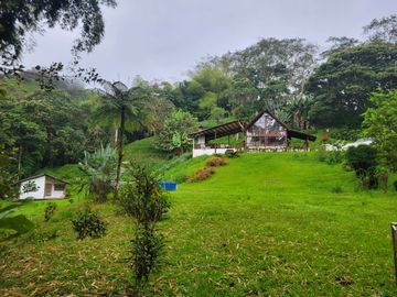 Hermosa finca de 10 Has en Nanegalito con casa de 200 m2 y río cristalino.