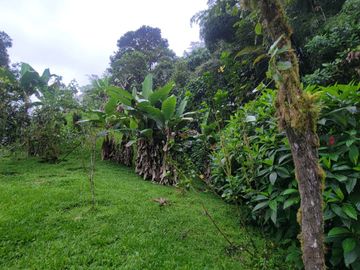 Hermosa finca de 10 Has en Nanegalito con casa de 200 m2 y río cristalino.