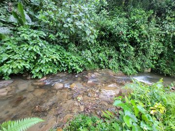 Hermosa finca de 10 Has en Nanegalito con casa de 200 m2 y río cristalino.