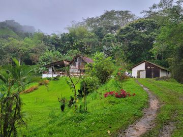 Hermosa finca de 10 Has en Nanegalito con casa de 200 m2 y río cristalino.