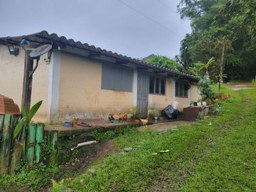 Hermosa finca de 10 Has en Nanegalito con casa de 200 m2 y río cristalino.