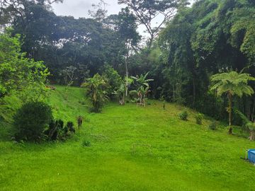 Hermosa finca de 10 Has en Nanegalito con casa de 200 m2 y río cristalino.