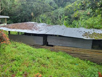 Hermosa finca de 10 Has en Nanegalito con casa de 200 m2 y río cristalino.