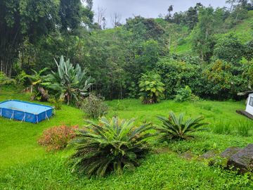Hermosa finca de 10 Has en Nanegalito con casa de 200 m2 y río cristalino.
