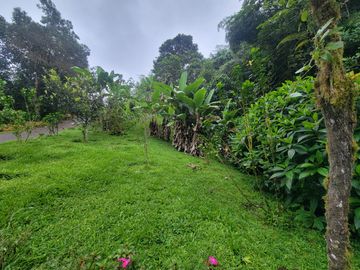 Hermosa finca de 10 Has en Nanegalito con casa de 200 m2 y río cristalino.