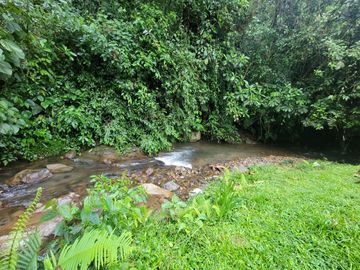Hermosa finca de 10 Has en Nanegalito con casa de 200 m2 y río cristalino.