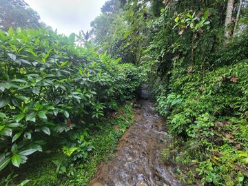 Hermosa finca de 10 Has en Nanegalito con casa de 200 m2 y río cristalino.