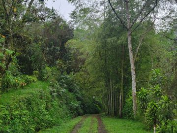 Hermosa finca de 10 Has en Nanegalito con casa de 200 m2 y río cristalino.