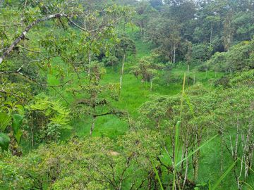 Hermosa finca de 10 Has en Nanegalito con casa de 200 m2 y río cristalino.