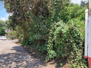 TERRENO EN VENTA, CENTRO DE VALLE.