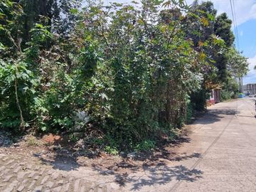 TERRENO EN VENTA, CENTRO DE VALLE.