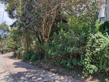 TERRENO EN VENTA, CENTRO DE VALLE.