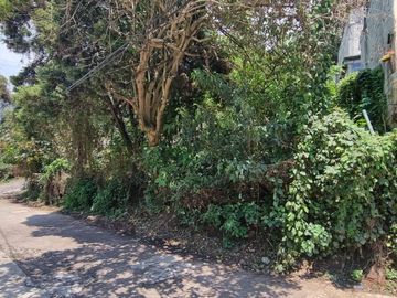 TERRENO EN VENTA, CENTRO DE VALLE.