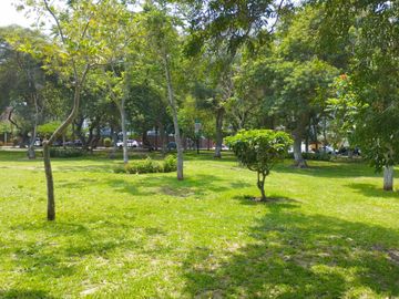 VIVE EN EXCELENTE DPTO FRENTE AL PARQUE