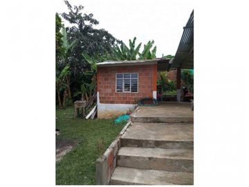 VENTA  FINCA EN PAVAS