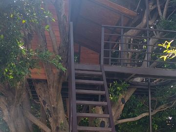 $3,800,000.00 DEPARTAMENTO EN 7o. PISO CON VISTA PANORÁMICA Y MUCHAS AMENIDADES, VIGILANCIA