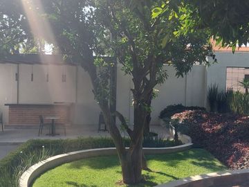 $3,800,000.00 DEPARTAMENTO EN 7o. PISO CON VISTA PANORÁMICA Y MUCHAS AMENIDADES, VIGILANCIA