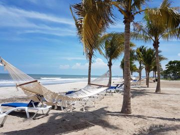 ¡NUEVO! OLAS DEL MAR EN PLAYA CARACOL