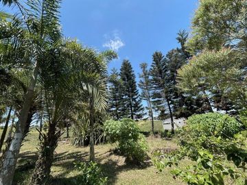 18,062sqm Lot For Sale in Tolentino East, Tagaytay