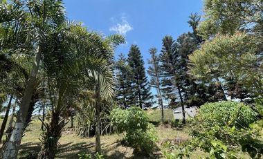 18,062sqm Lot For Sale in Tolentino East, Tagaytay