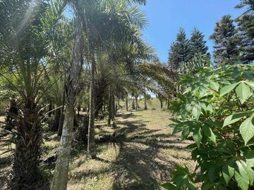18,062sqm Lot For Sale in Tolentino East, Tagaytay