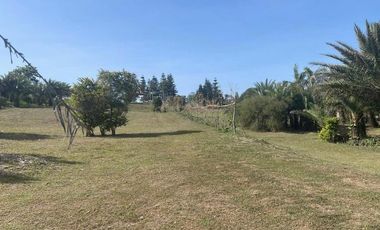 18,062sqm Lot For Sale in Tolentino East, Tagaytay