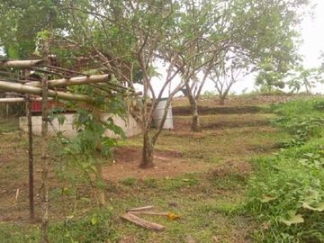 House and Lot with Farm for Sale in Davao del Norte