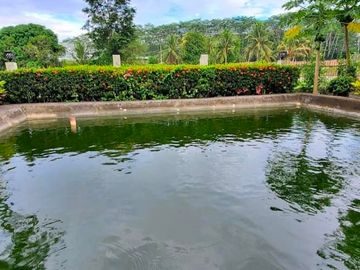 House and Lot with Farm for Sale in Davao del Norte
