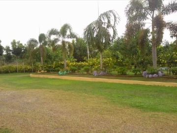House and Lot with Farm for Sale in Davao del Norte