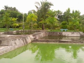 House and Lot with Farm for Sale in Davao del Norte