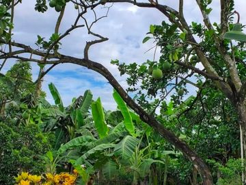 House and Lot with Farm for Sale in Davao del Norte