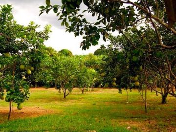 House and Lot with Farm for Sale in Davao del Norte