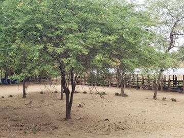 Se vende finca en vía a la costa-Chongón