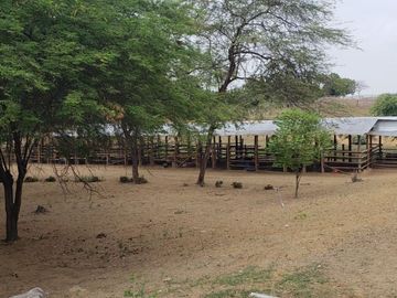 Se vende finca en vía a la costa-Chongón