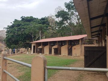 Se vende finca en vía a la costa-Chongón