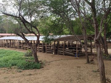Se vende finca en vía a la costa-Chongón